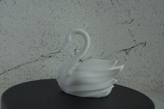 Elegant Swan Pair - Printed Home Décor